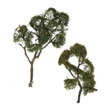 Maxbell Maple Trees Model Ash Trees Scenery Landscape Model Architecture Building