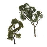 Maxbell Maple Trees Model Ash Trees Scenery Landscape Model Architecture Building
