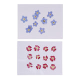 Maxbell 22 Pieces Forget-me-not Verbena Real Pressed Dried Flowers for Nail Art