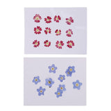Maxbell 22 Pieces Forget-me-not Verbena Real Pressed Dried Flowers for Nail Art