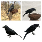 Maxbell 3x Artificial Realistic Birds Ravens Crows for Garden Halloween Decoration