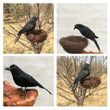 Maxbell 2x Artificial Realistic Birds Ravens Crows for Garden Halloween Decoration