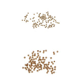 Maxbell 200pcs Fly Tying Head Beads Fly Fishing Nymph Head Ball Beads 2.8mm 2.3mm