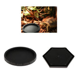 Maxbell 2 pcs Plastic Reptile lizard Gecko Vivarium Feeding Food Dish Feeder Bowl