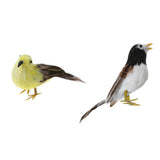 Maxbell Set 2 Artificial Small Bird Realistic ORNAMENTS Feather Taxidermy Tree Decor