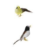 Maxbell Set 2 Artificial Small Bird Realistic ORNAMENTS Feather Taxidermy Tree Decor