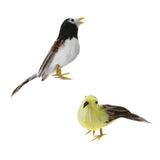 Maxbell Set 2 Artificial Small Bird Realistic ORNAMENTS Feather Taxidermy Tree Decor