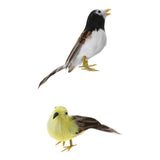 Maxbell Set 2 Artificial Small Bird Realistic ORNAMENTS Feather Taxidermy Tree Decor