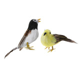Maxbell Set 2 Artificial Small Bird Realistic ORNAMENTS Feather Taxidermy Tree Decor