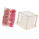 Maxbell Hollow Cube Plastic Candle Mold Tealight Candle Holder Mould & Dried Flowers
