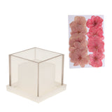 Maxbell Hollow Cube Plastic Candle Mold Tealight Candle Holder Mould & Dried Flowers