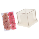 Maxbell Hollow Cube Plastic Candle Mold Tealight Candle Holder Mould & Dried Flowers