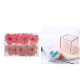 Maxbell Hollow Cube Plastic Candle Mold Tealight Candle Holder Mould & Dried Flowers