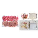 Maxbell Hollow Cube Plastic Candle Mold Tealight Candle Holder Mould & Dried Flowers