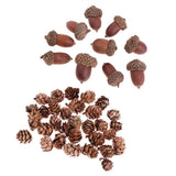 Maxbell 40 Pieces Natural Pine Cones Acorns Dried Table Ornament Home Decoration DIY