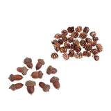 Maxbell 40 Pieces Natural Pine Cones Acorns Dried Table Ornament Home Decoration DIY