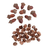 Maxbell 40 Pieces Natural Pine Cones Acorns Dried Table Ornament Home Decoration DIY