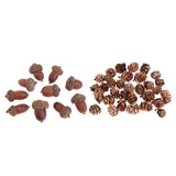 Maxbell 40 Pieces Natural Pine Cones Acorns Dried Table Ornament Home Decoration DIY