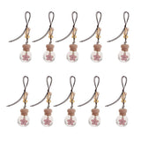 Maxbell 10x Car Home Perfume Bottle Hanging Air Freshener Diffuser Fragrance Bottle