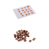 Maxbell 16 Pcs Dried  Pressed Dried Flowers+30 Pcs Real Natural Small Pine Cones