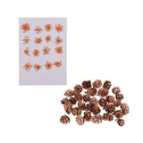Maxbell 16 Pcs Dried  Pressed Dried Flowers+30 Pcs Real Natural Small Pine Cones