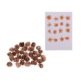 Maxbell 16 Pcs Dried  Pressed Dried Flowers+30 Pcs Real Natural Small Pine Cones