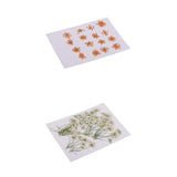 Maxbell 16x None Branch +10 Pcs Branched Pressed Dried Flowers DIY Embossed Flower