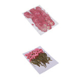 Maxbell 50x None Branch +50 Pcs Branched Pressed Dried Flowers DIY Embossed Flowers