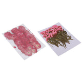 Maxbell 50x None Branch +50 Pcs Branched Pressed Dried Flowers DIY Embossed Flowers