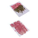 Maxbell 50x None Branch +50 Pcs Branched Pressed Dried Flowers DIY Embossed Flowers