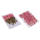 Maxbell 50x None Branch +50 Pcs Branched Pressed Dried Flowers DIY Embossed Flowers