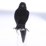 Maxbell 2pcs Artificial Realistic Woodland Birds for Outdoor Garden Home Decoration