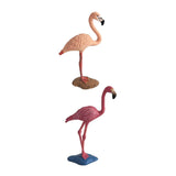 Maxbell 2Pieces Miniature Animals Birds Model Figurine Statue Scupltue Toy Flamingo
