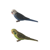Maxbell 2Pieces Miniature Animals Birds Model Figurine Statue Scupltue Toy Parrot