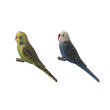 Maxbell 2Pieces Miniature Animals Birds Model Figurine Statue Scupltue Toy Parrot