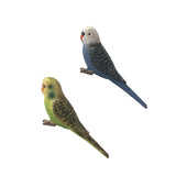 Maxbell 2Pieces Miniature Animals Birds Model Figurine Statue Scupltue Toy Parrot
