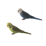 Maxbell 2Pieces Miniature Animals Birds Model Figurine Statue Scupltue Toy Parrot