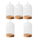 Maxbell 5x Clear Glass Bell Cover Pot Landscape Terrarium Container Lid Vase Bottle