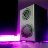 Maxbell 2Pieces 4'' Speaker Vibrating Membrane Passive Bass Diaphragm Plate