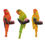 Maxbell 3Pcs Resin Parrots Budgerigar Birds Animals Ornaments Hanging Decorations