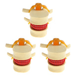 Maxbell 3X Human Spine Lumbar Intervertebral Disc Protrusion Model Magnification 2x