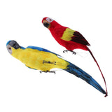 Maxbell Blue & Red Bird Feather Realistic Home Garden Decor Ornament Parrot Bird