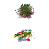 Maxbell 54pcs Natural Pressed Dried Flowers and Leaves Art Craft Supplies Decors