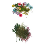 Maxbell 54pcs Natural Pressed Dried Flowers and Leaves Art Craft Supplies Decors