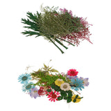 Maxbell 54pcs Natural Pressed Dried Flowers and Leaves Art Craft Supplies Decors
