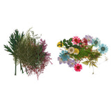 Maxbell 54pcs Natural Pressed Dried Flowers and Leaves Art Craft Supplies Decors