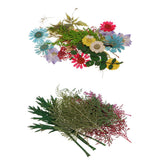 Maxbell 54pcs Natural Pressed Dried Flowers and Leaves Art Craft Supplies Decors