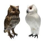 Maxbell 2pcs/set Artificial Owl Bird Feather Realistic Taxidermy Home Garden Decor