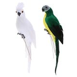 Maxbell 2x Realistic Macaw Parrot Artificial Feather Bird Animal Ornament Toy