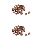 Maxbell 60 Pieces Mixed Natural Pine Cones Dried Table Ornament Home Decoration DIY